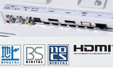 service_rental_lineup10_10