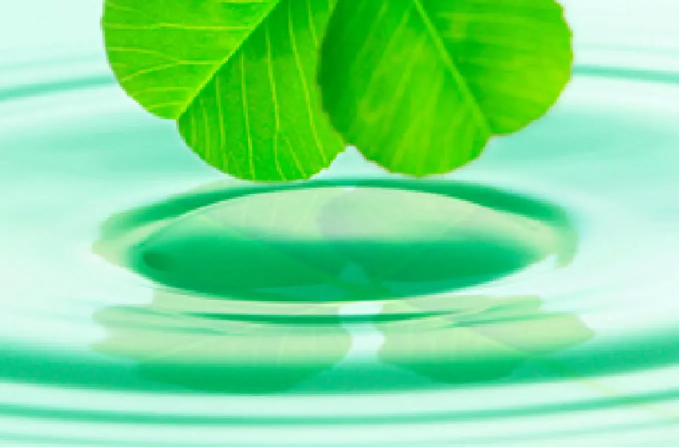 生命保険・損害保険